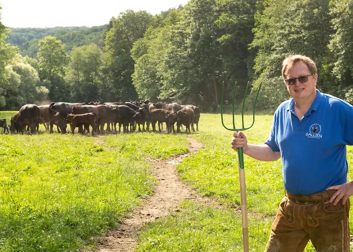 Gallien - Hopfenboden